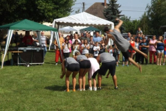 falunap2016248