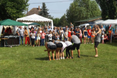 falunap2016249