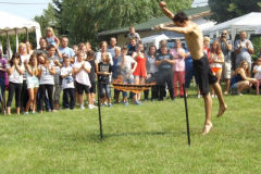 falunap2016250