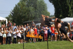 falunap2016253