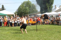 falunap2016256