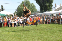 falunap2016258