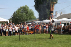 falunap2016260