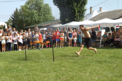 falunap2016261