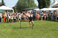 falunap2016262