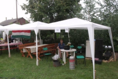 falunap2016267
