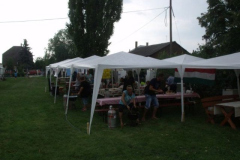 falunap2016268