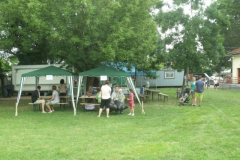 falunap2016269