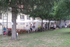 falunap2016271