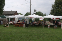 falunap2016272