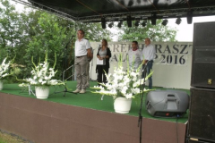 falunap2016276