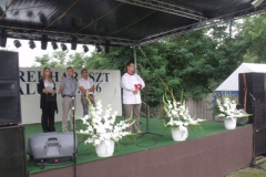falunap2016278