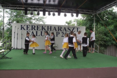 falunap2016279