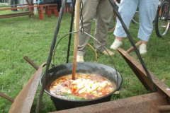 falunap2016290