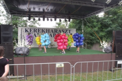 falunap2016298