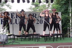 falunap2016300