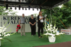 falunap2016301