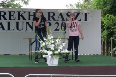 falunap2016312