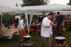 falunap201635