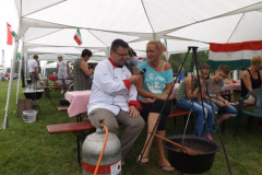 falunap201638