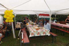 falunap20164