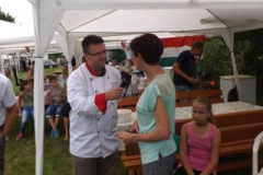 falunap201640