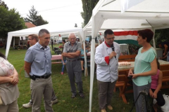 falunap201641