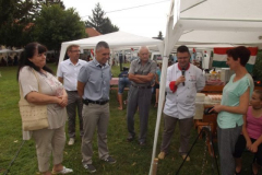 falunap201643