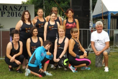 falunap201644