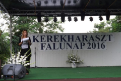 falunap201645