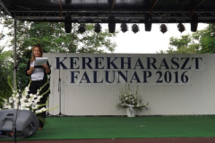falunap201646