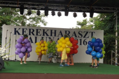 falunap201647