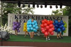 falunap201648
