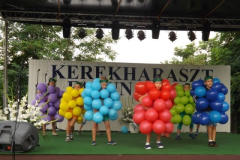 falunap201650