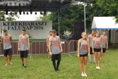 falunap201654