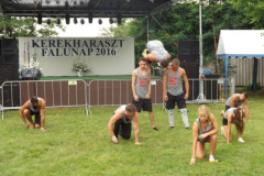 falunap201656