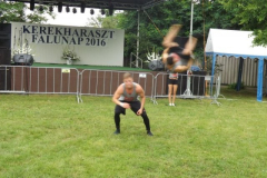 falunap201667
