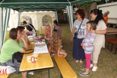 falunap20167