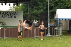 falunap201672