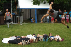falunap201689