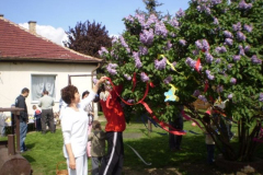 p2260067