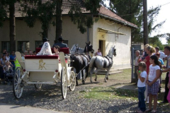 cimg1371